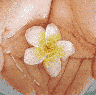 Hand Cream